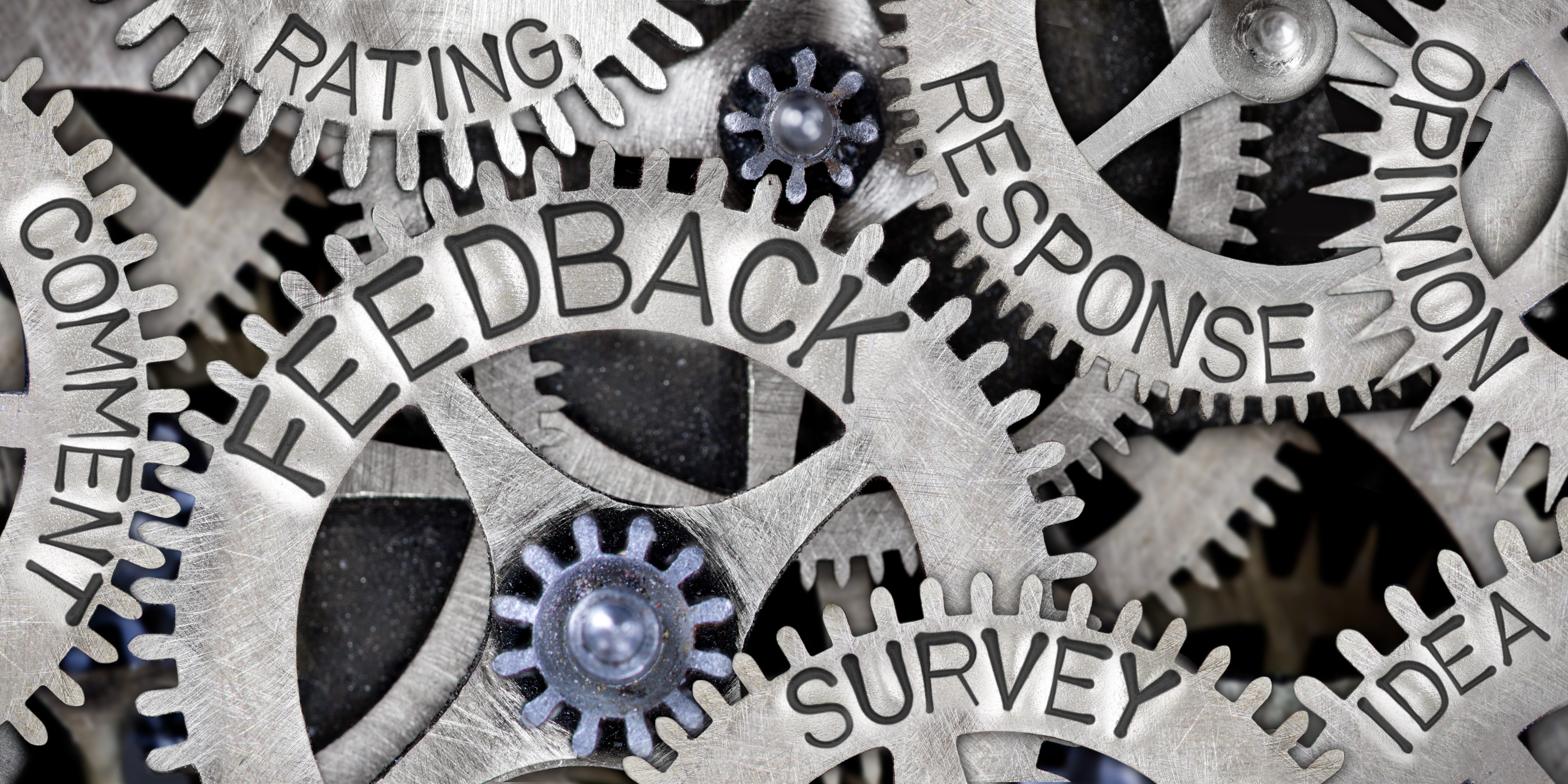 Collage of survey cogs and wheels